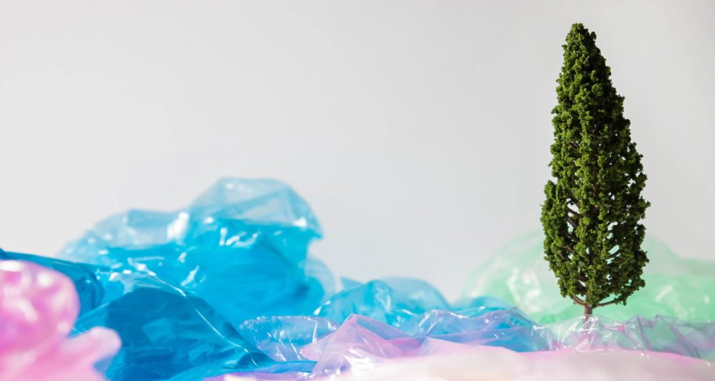 Top 5 Applications of Food Grade rPET Plastic in the Food and Beverage Industry